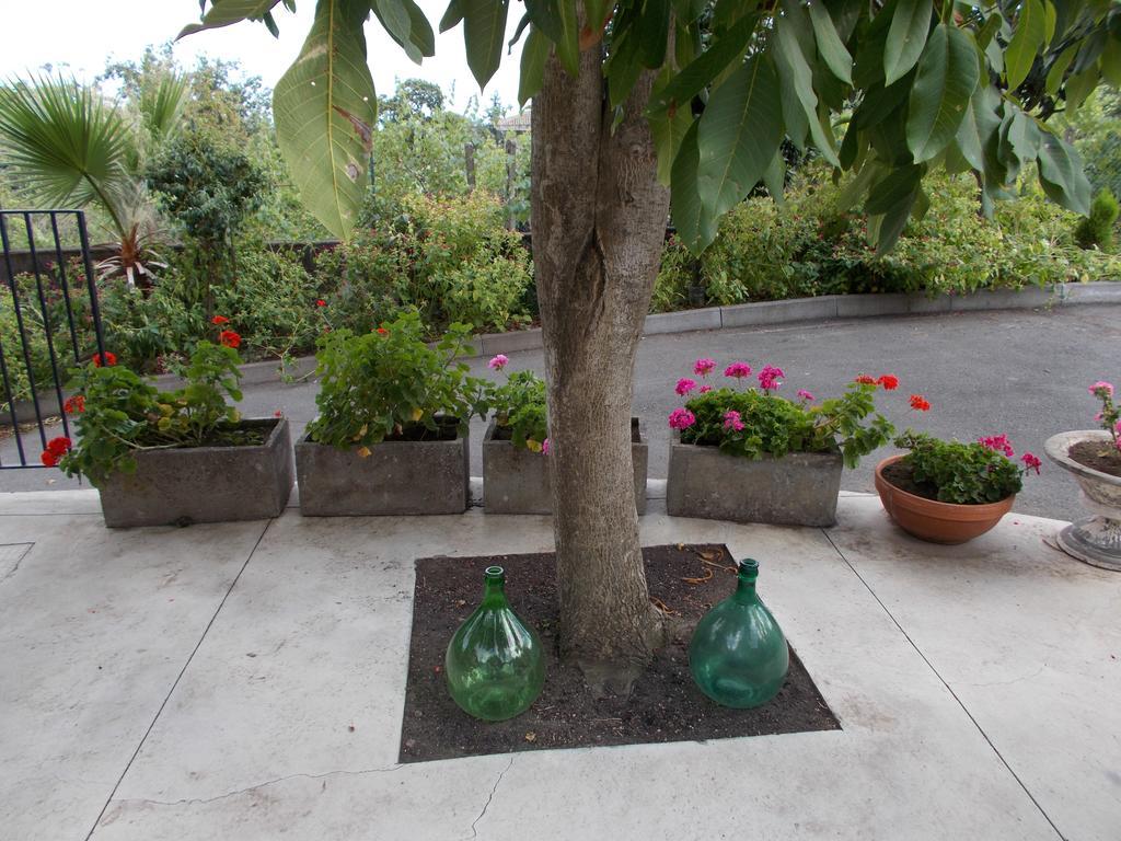 Hotel Il Nido Delle Aquile Dell'Etna Milo Exterior foto